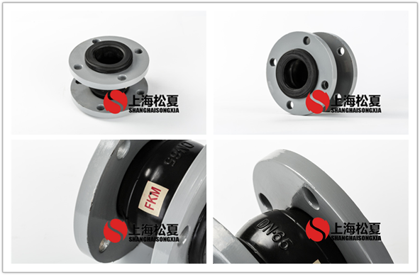 FKM-DN100-16kg耐腐蝕氟<a href='http://www.bj10z.com' target='_blank'><u>橡膠接頭</u></a>